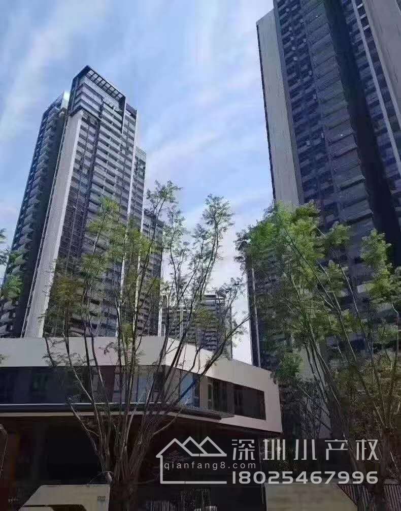 宝安福永村委统建楼,5栋【西湖·湖畔花园】楼下自带商业广场！