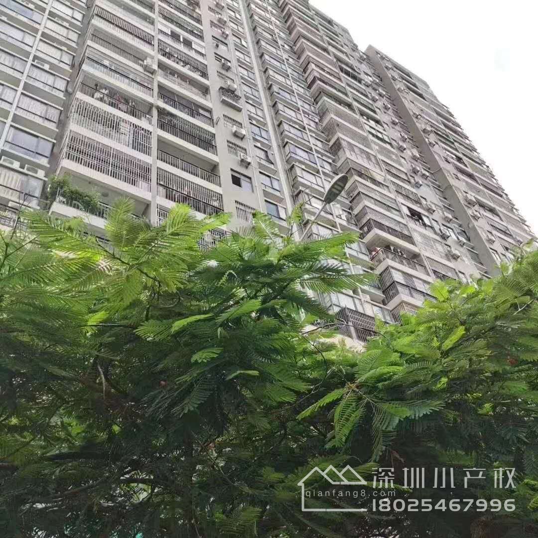 龙华【龙胜雅居】500户村委统建楼  6号线元芬地铁口41.