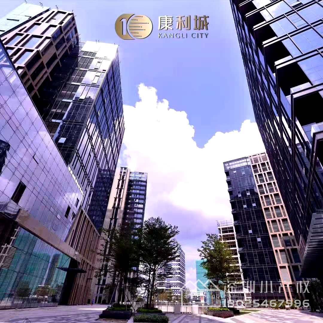 抢10号线地铁口【康利城CEO公馆】现楼精装公寓， 可返租每